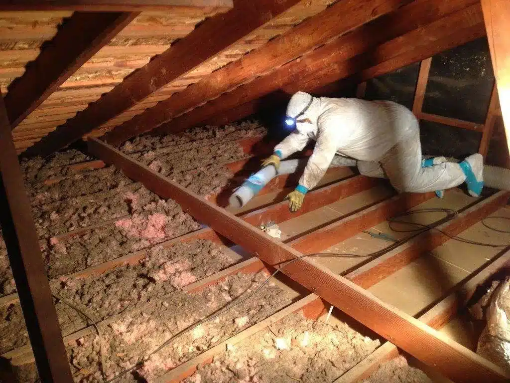 Insulation Removal Trends in Bellview, FL