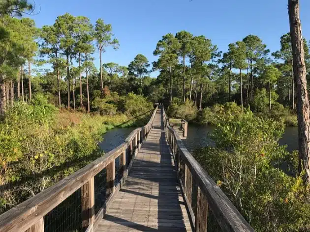 Big Lagoon State Park