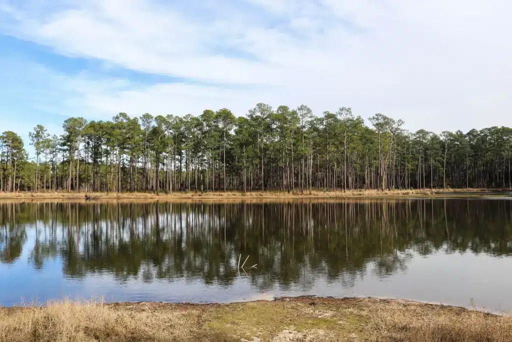Escambia River Wildlife Management Area