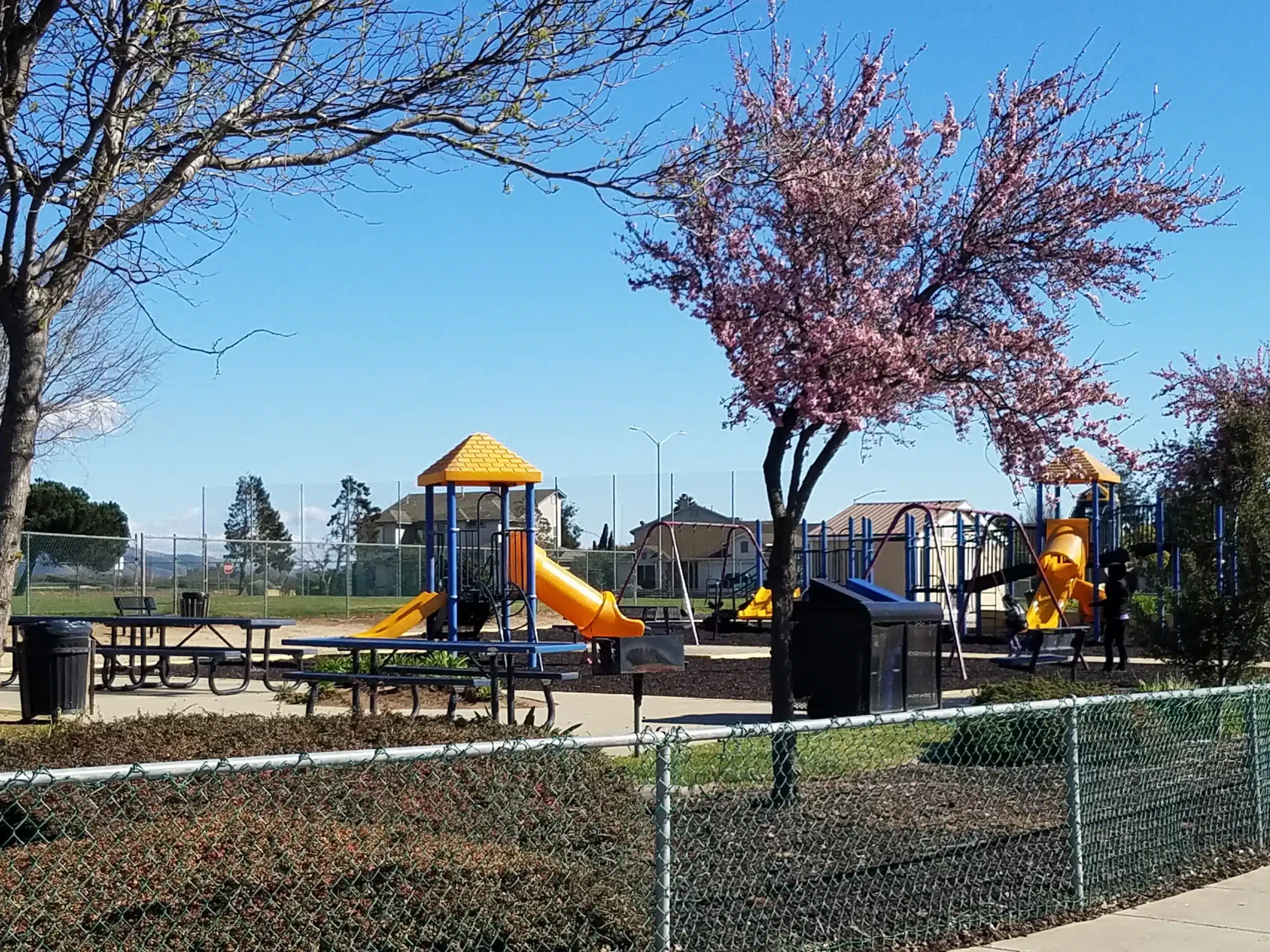 Gonzalez Community Park