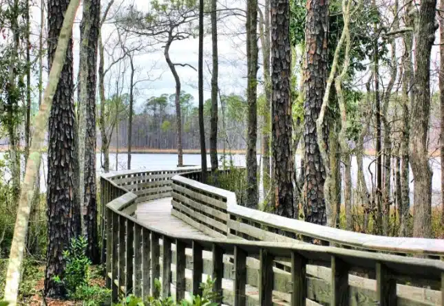 Tarkiln Bayou Preserve State Park