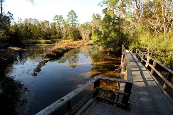 University of West Florida Nature Trails