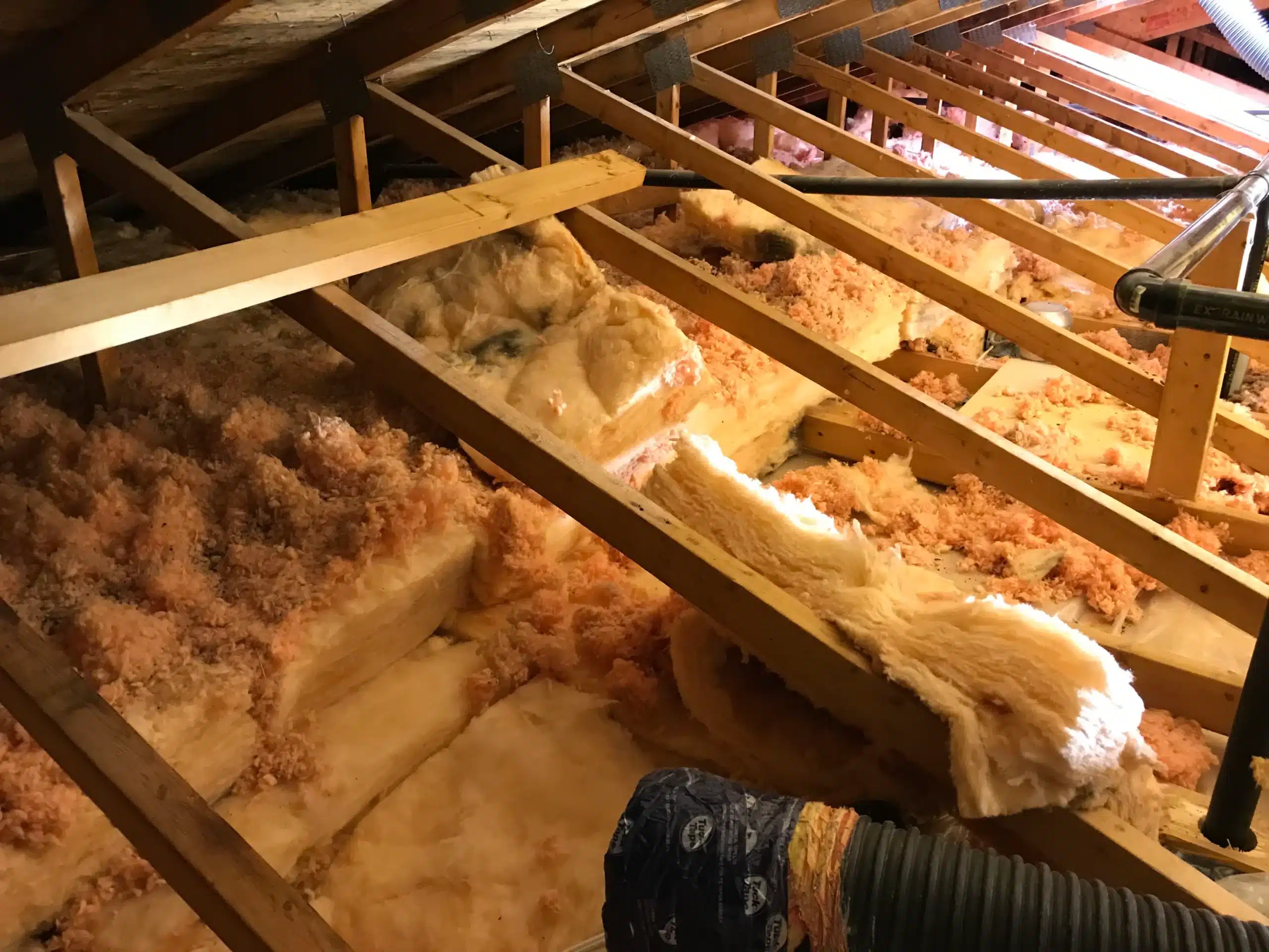 Efficient Insulation Removal Services for Your Home