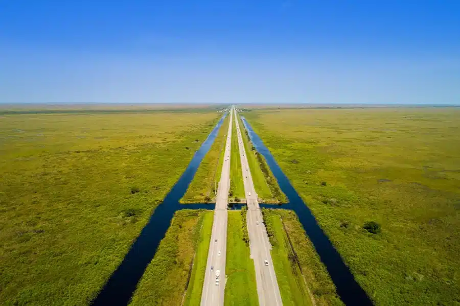 Alligator Alley
