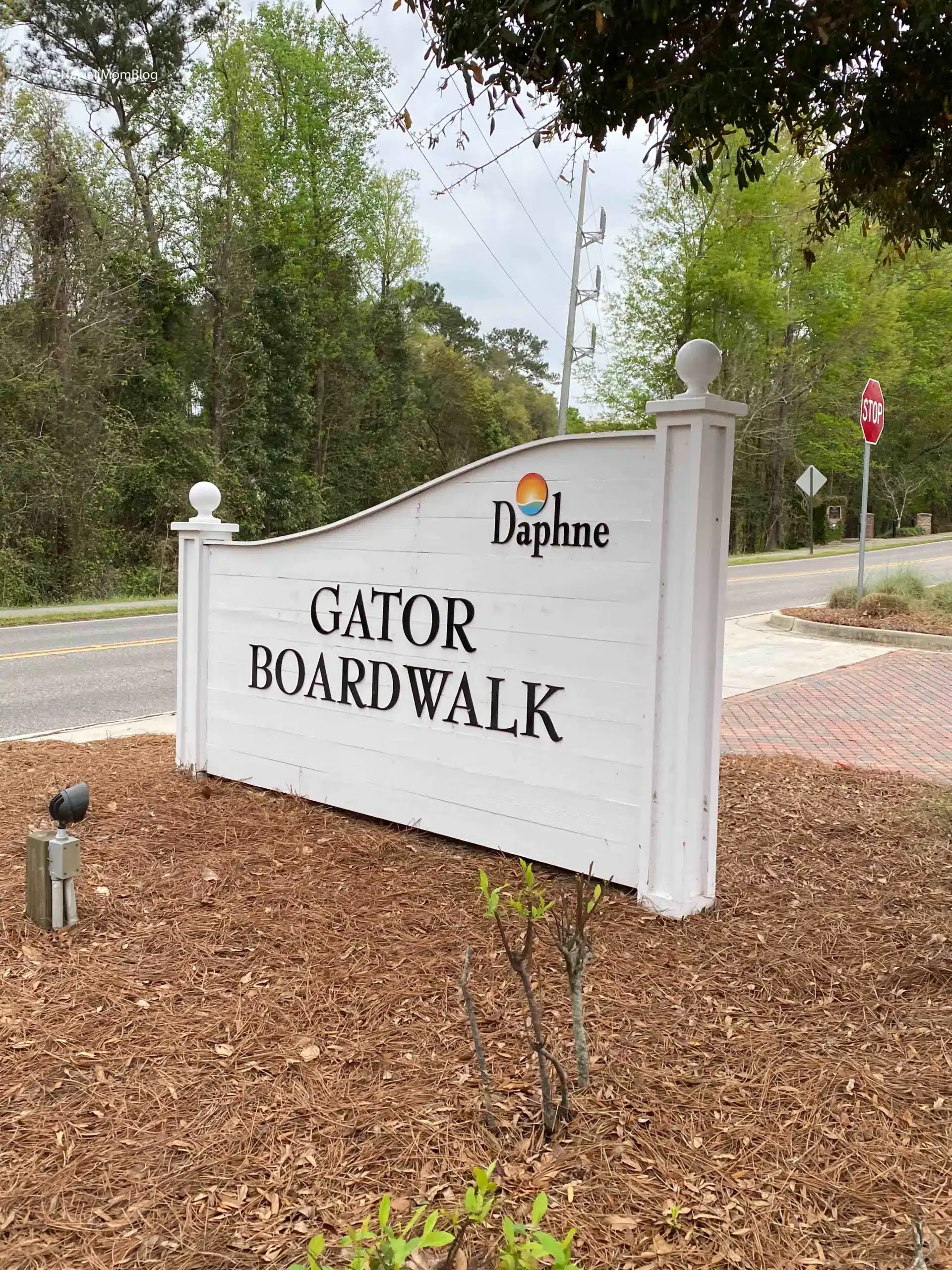 Gator Boardwalk