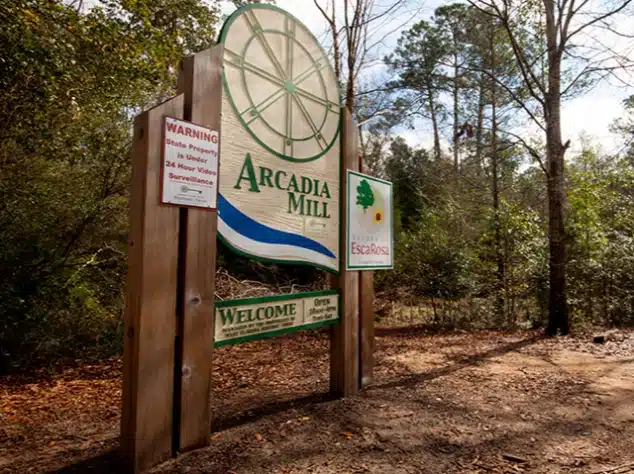 Arcadia Mill Archaeological Site​ - Prestige Insulation Solution
