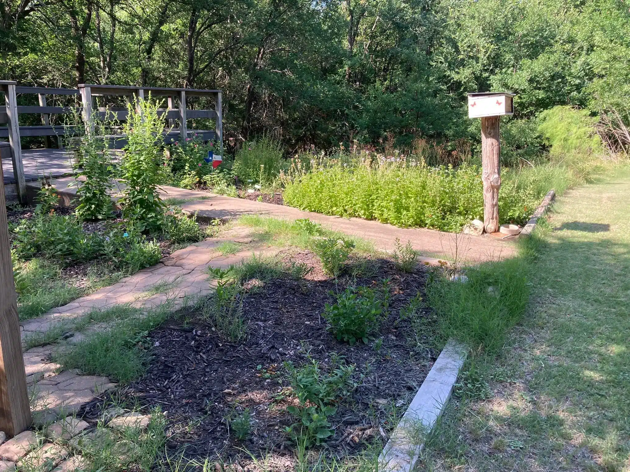 Wallace Nature Preserve