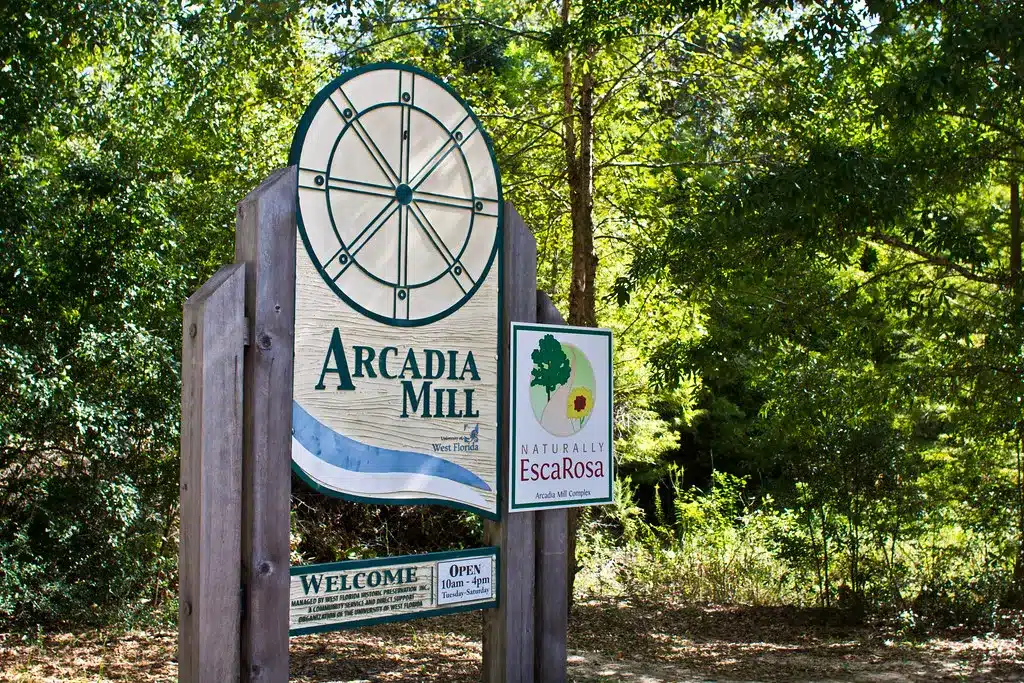 Arcadia Mill Archaeological Site