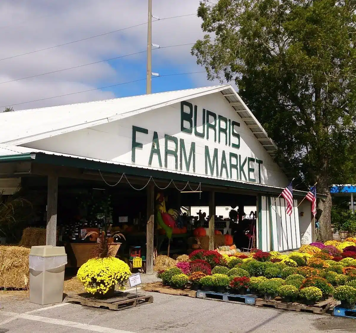 Burris Farm Market in Loxley AL