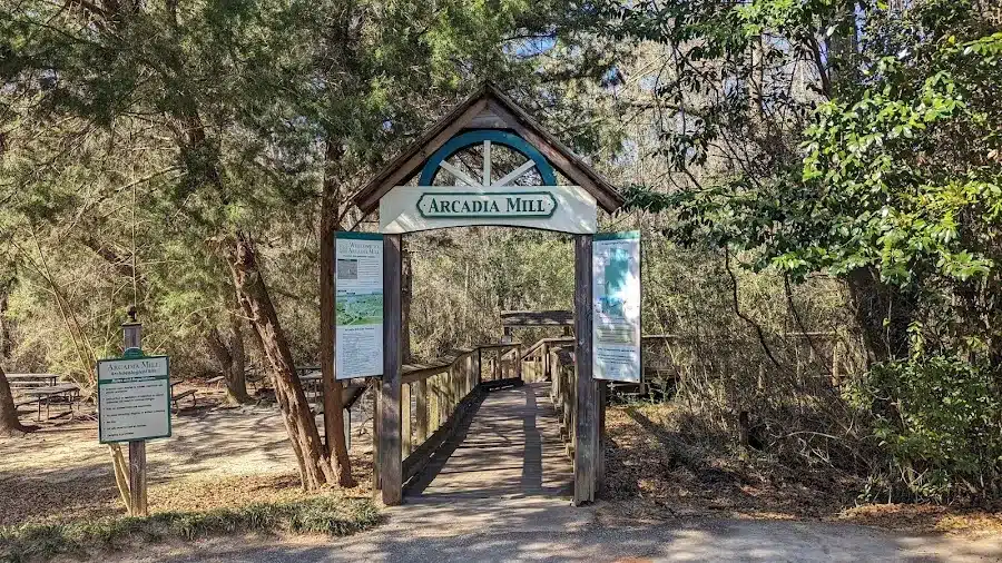 Arcadia Mill Archeological Site