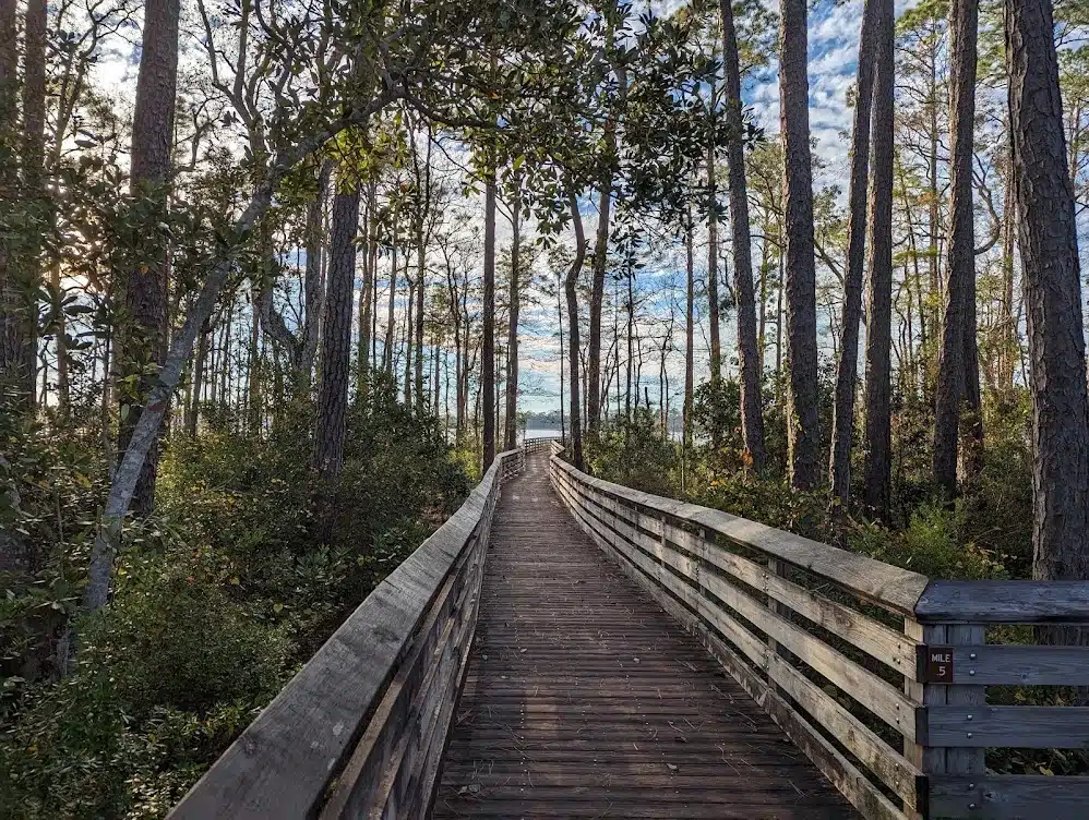 Tarkiln Bayou Preserve State Park