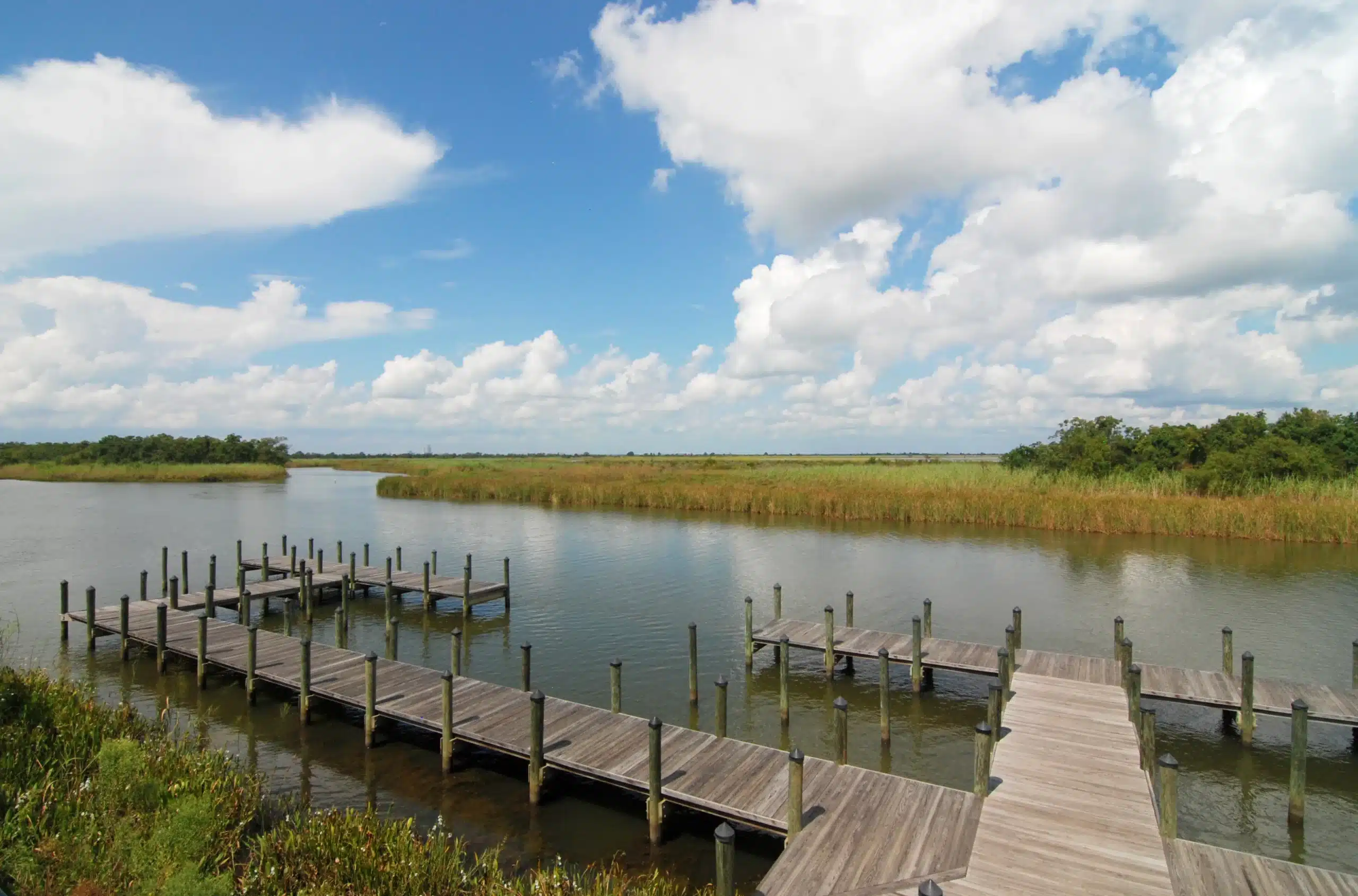 5 Rivers Delta Resource Center scaled