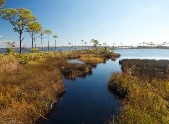 Bon Secour National Wildlife Refuge 1