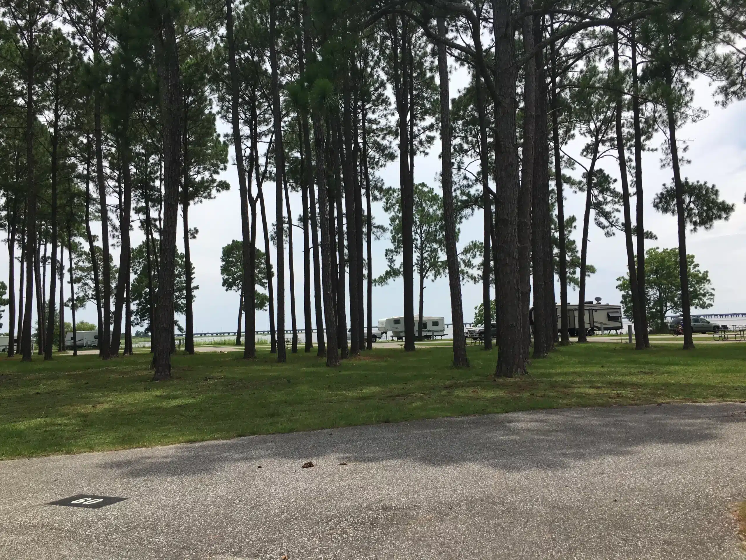 Meaher State Park scaled