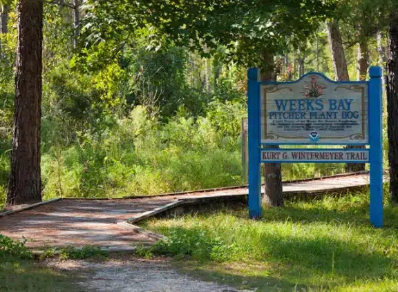 Weeks Bay National Estuarine Research Reserve
