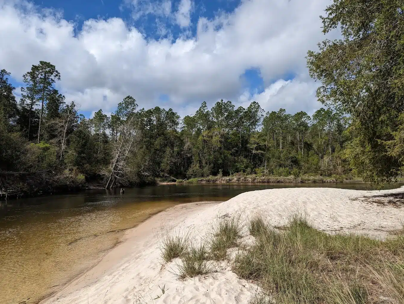 Perdido River Wildlife Management Area