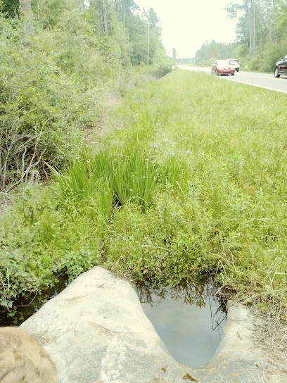 Blackwater Heritage State Trail