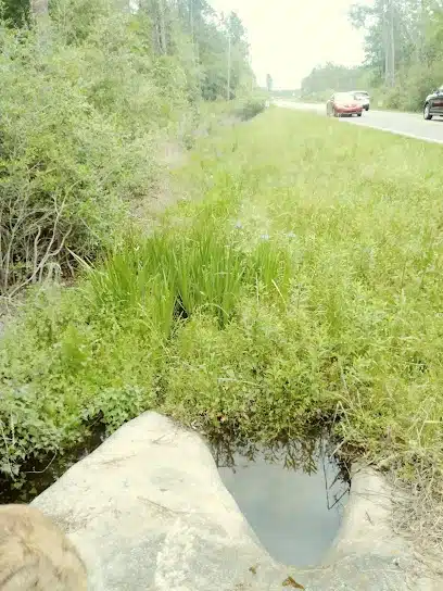 Blackwater Heritage State Trail