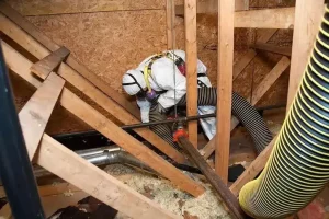 Everything You Need to Know About Professional Insulation Removal Everything You Need to Know About Professional Insulation Removal