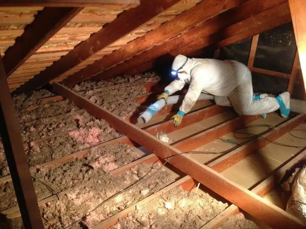 How Does Professional Insulation Removal Work?